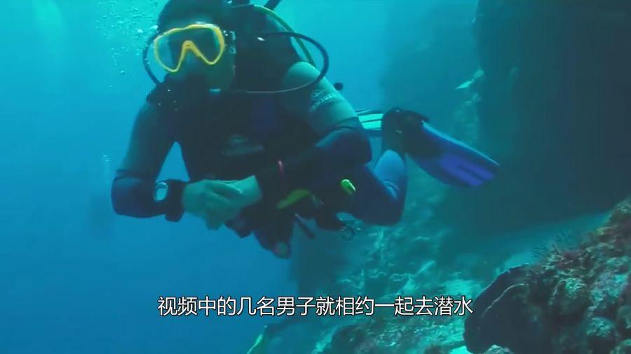 绿意盎然